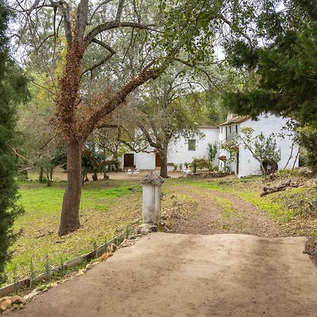 Molino De Gris Cazorla Villa Chilluevar Exteriör bild