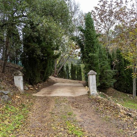 Molino De Gris Cazorla Villa Chilluevar Exteriör bild