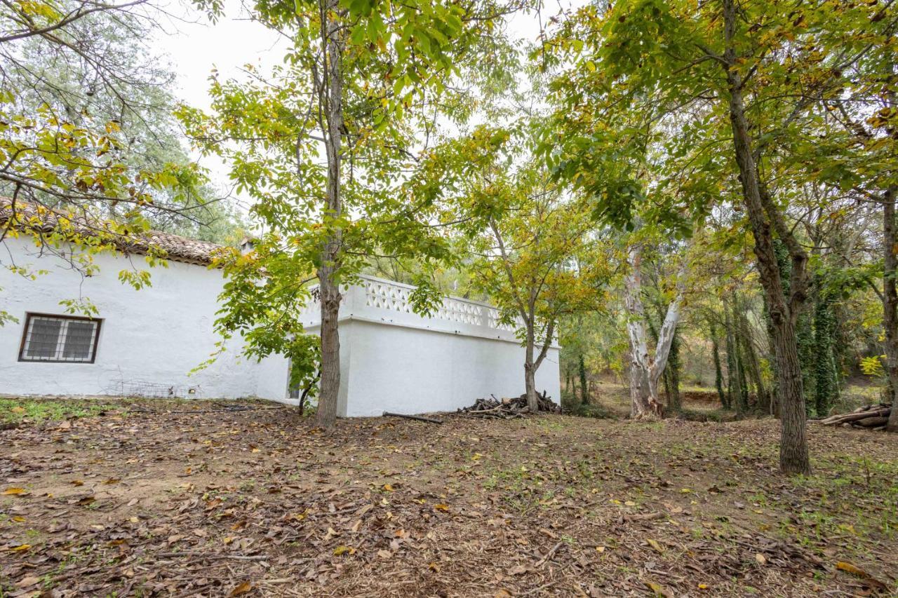 Molino De Gris Cazorla Villa Chilluevar Exteriör bild
