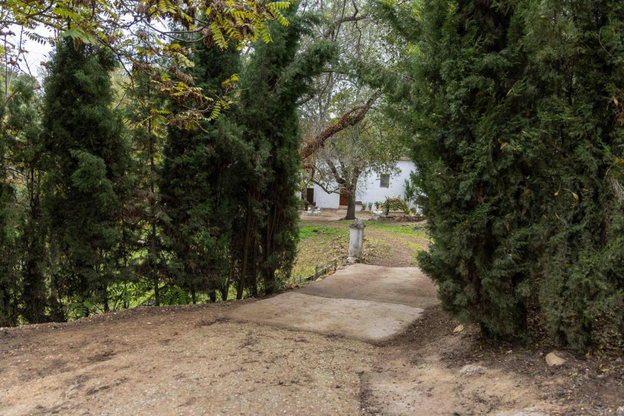 Molino De Gris Cazorla Villa Chilluevar Exteriör bild