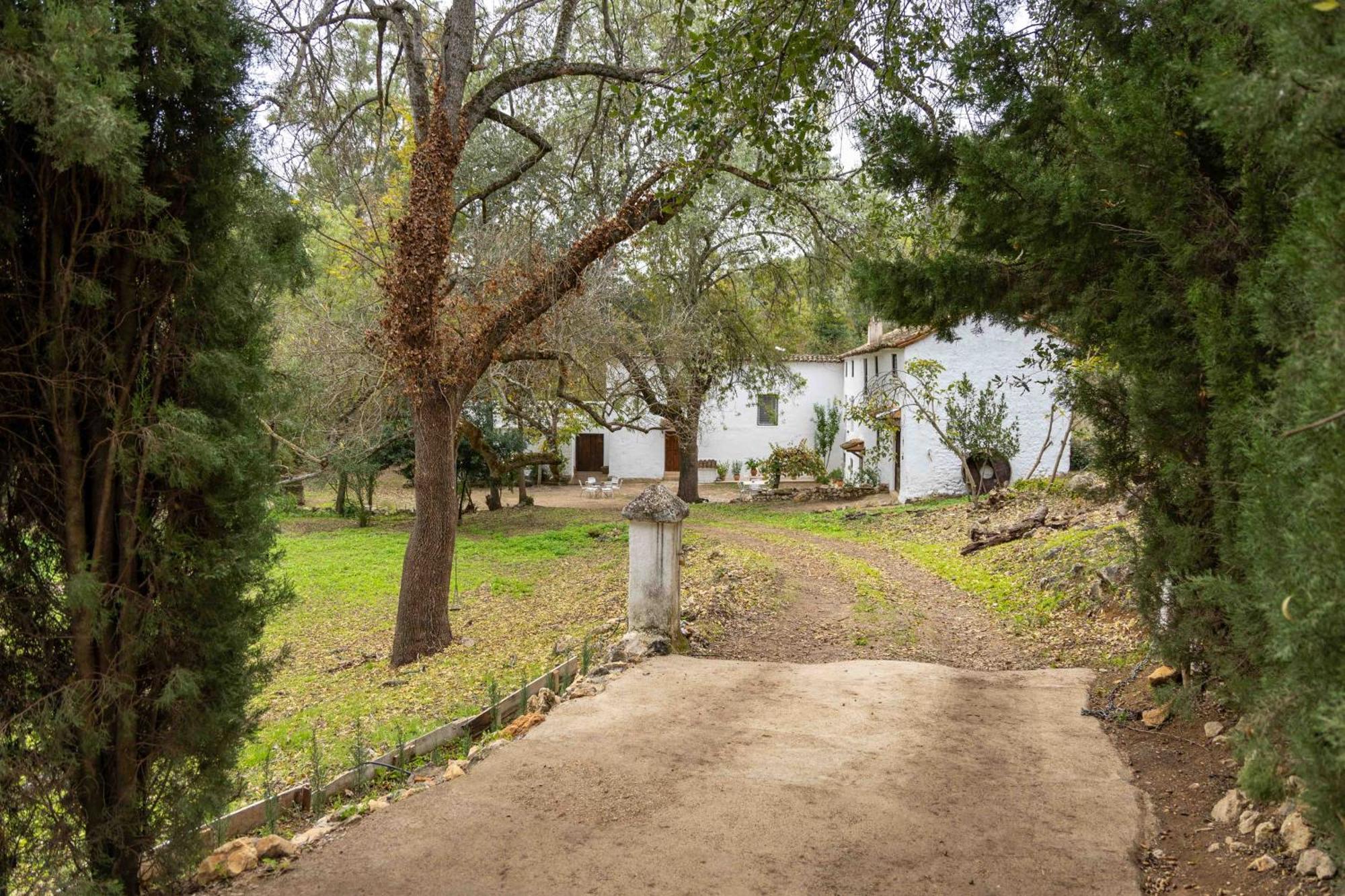 Molino De Gris Cazorla Villa Chilluevar Exteriör bild